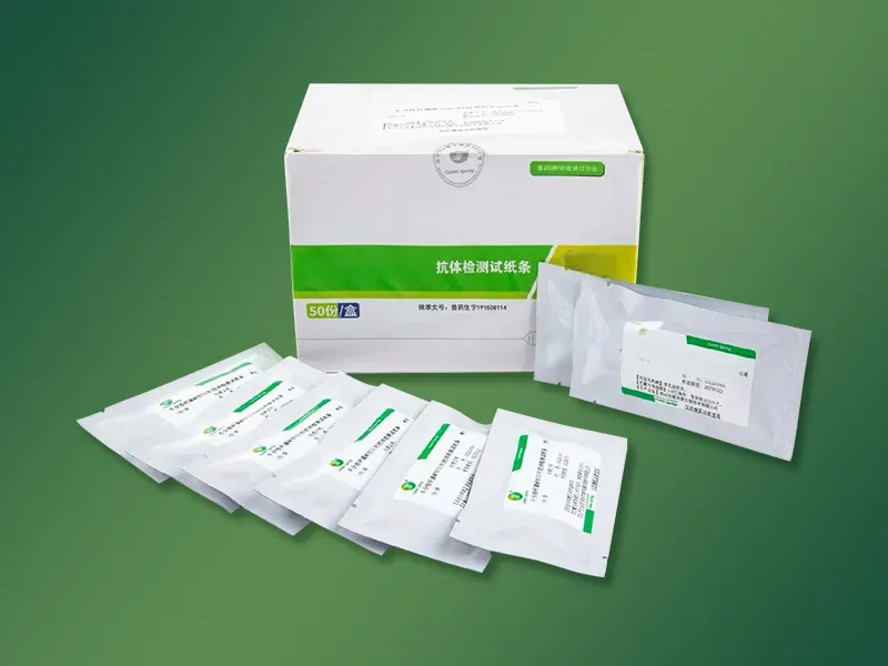 Packaging bag of test kit